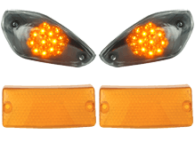 Indicators (model specific)