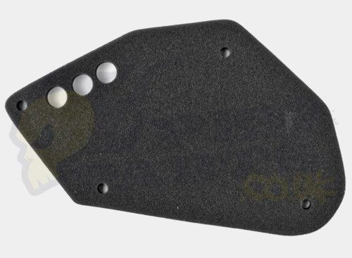 Air Filer Element- Senda