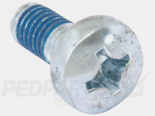 M6x14mm Phillips Screw- Aprilia/ Piaggio/ Vespa