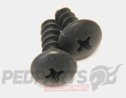 Body Panel Screws- Yamaha Aerox/ BWS