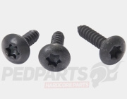 Body Panel Torx Screws- Piaggio/ Vespa