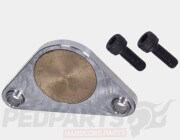 DDL Water Pump Plate- Piaggio 125/180cc 2-Stroke