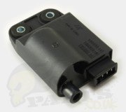 Genuine Piaggio CDI/ Coil