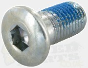 M10 x 1.25 - 15mm Brake Disc Bolt