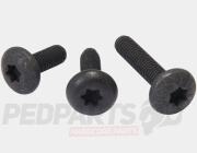 M6 Torx Bolt/ Screw- Piaggio/ Vespa