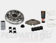 Malossi Variator Kit- Honda Forza/ SH350