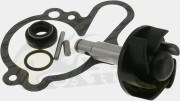 Waterpump Repair Kit - Minarelli AM6
