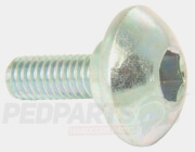 Pillion Seat Hinge Screw- M6