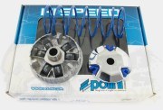 Polini Variator Kit - Vivacity/ Sym 50cc 4T