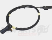 Rear ABS Sensor- Piaggio MP3