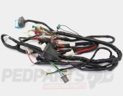 Wiring Loom- Yamaha Aerox YQ50