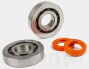 Stage6 R/T C4 Crankshaft Bearings/ Oil Seals Kit - Piaggio
