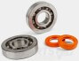 Stage6 R/T C4 Crankshaft Bearings/ Oil Seals Kit - Piaggio