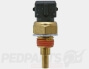 Temperature Sensor- Minarelli AM6 2-Pin